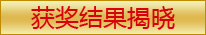 大赛结果